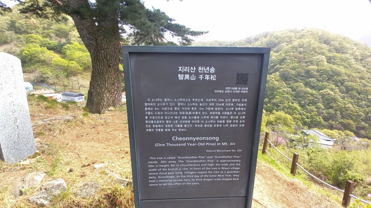 5e4a90ac0925d47bdaf88e7be4088cb1_1682228396_1558.jpg