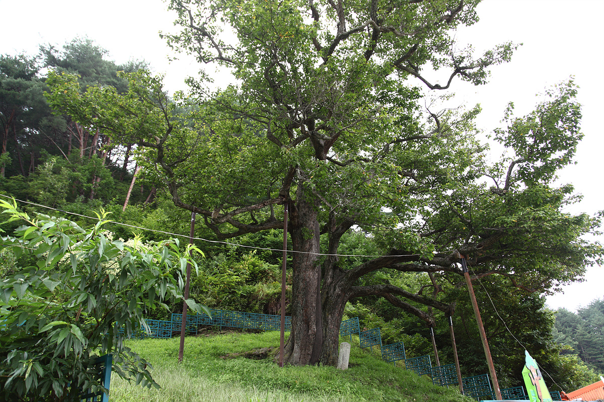 aa0104.jpg