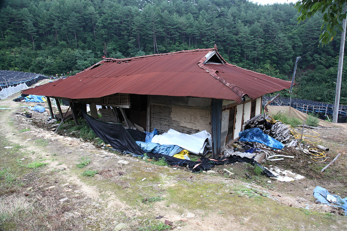aa0111.jpg