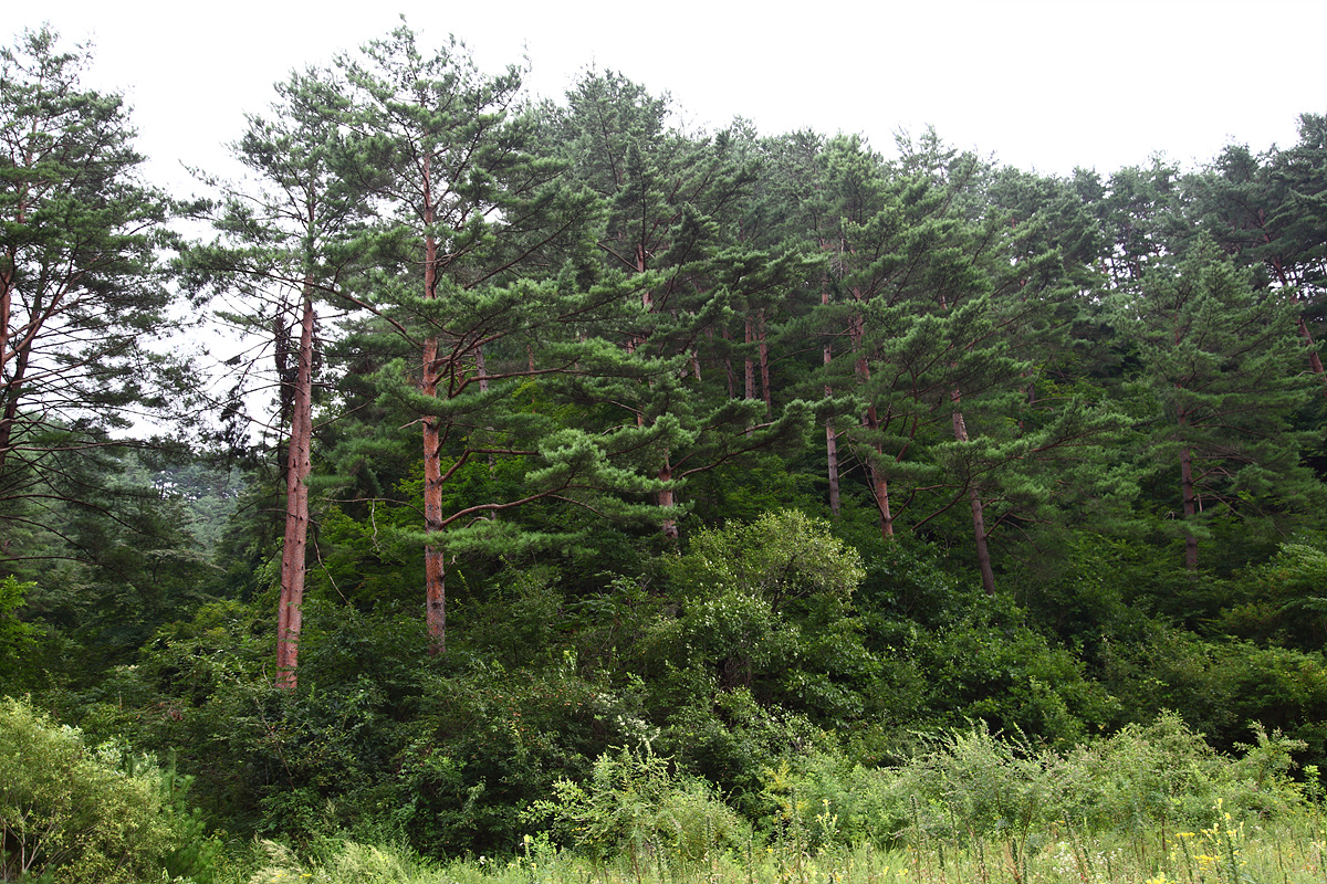 aa0126.jpg