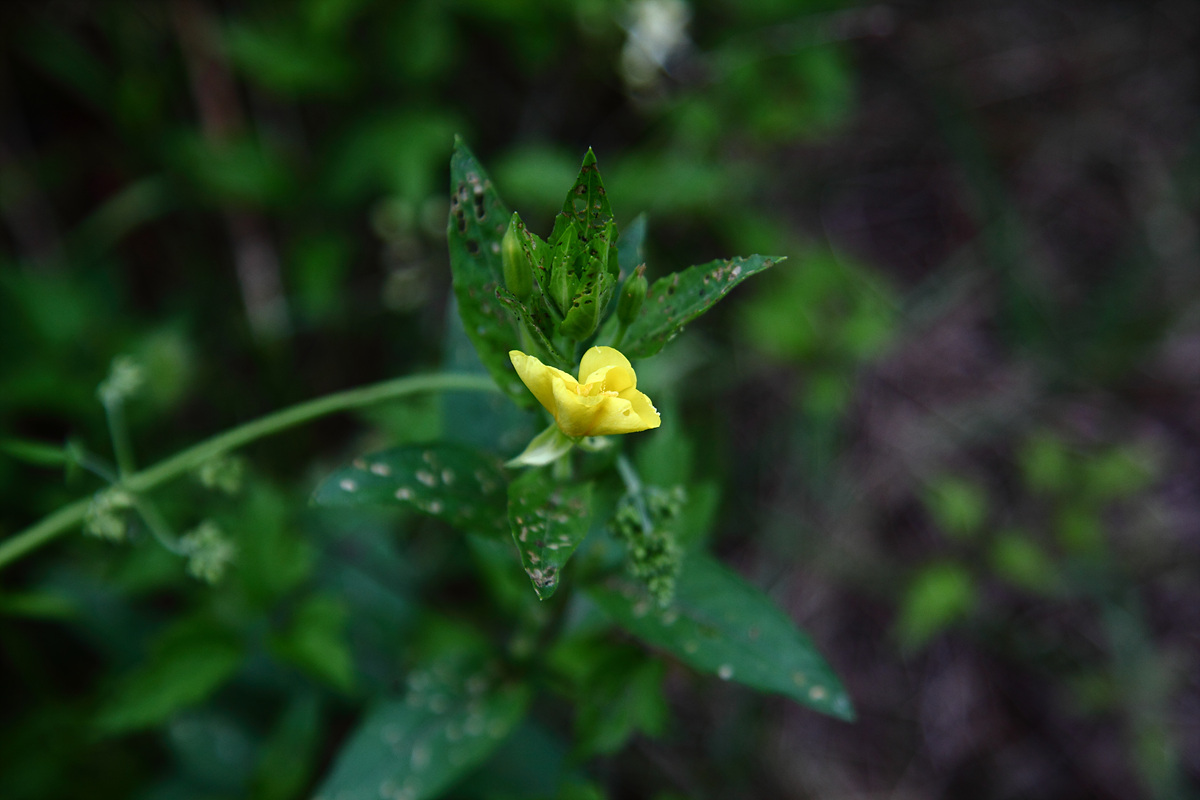 aa0127.jpg