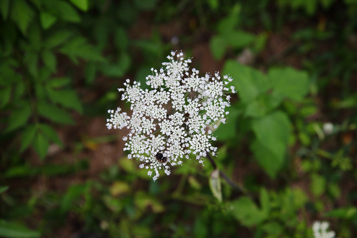 aa0129.jpg