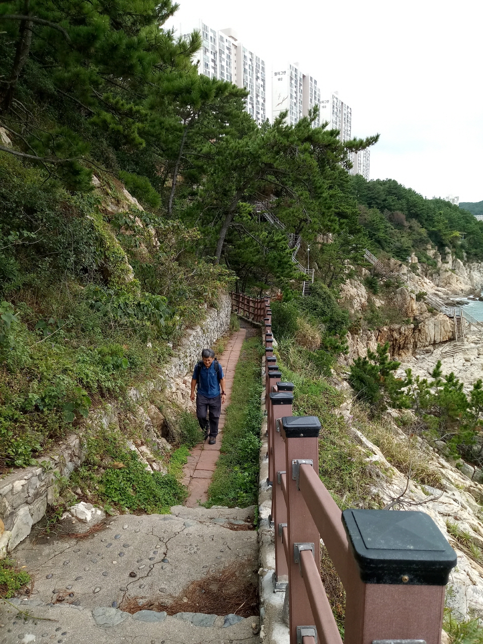 sm_20180915_122439.jpg