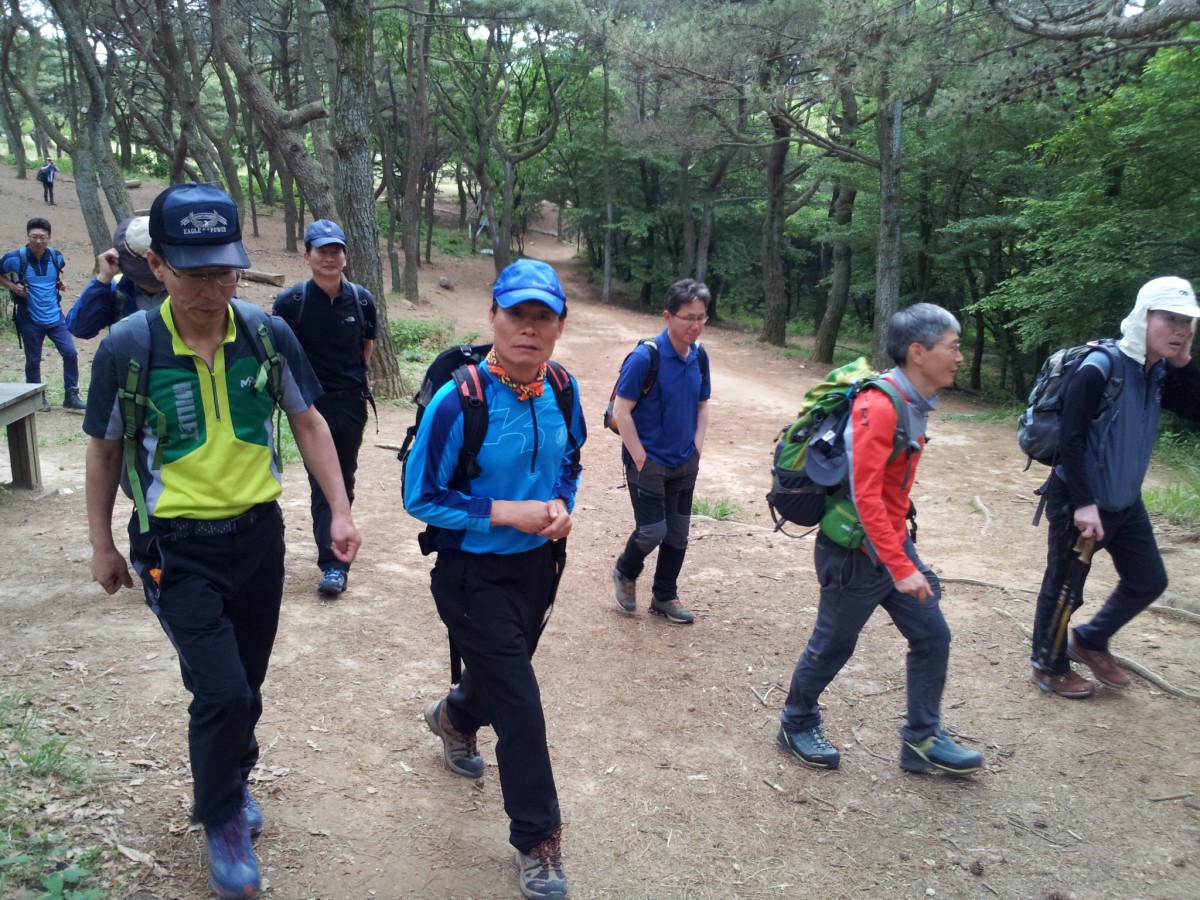 20150523_101752.jpg