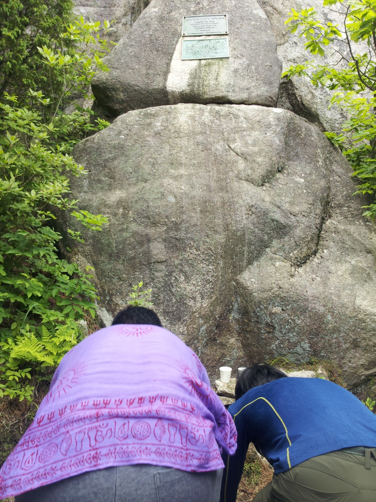 20150523_112158.jpg