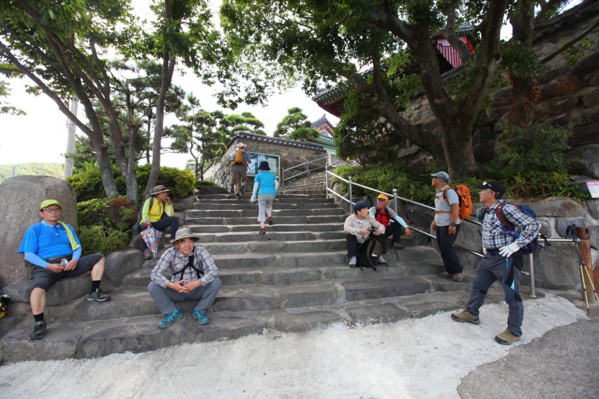 smimg_0079.JPG
