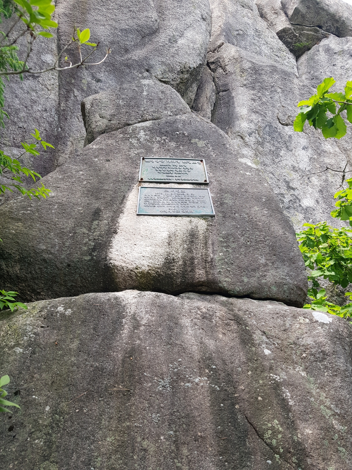 20220528_113418.jpg