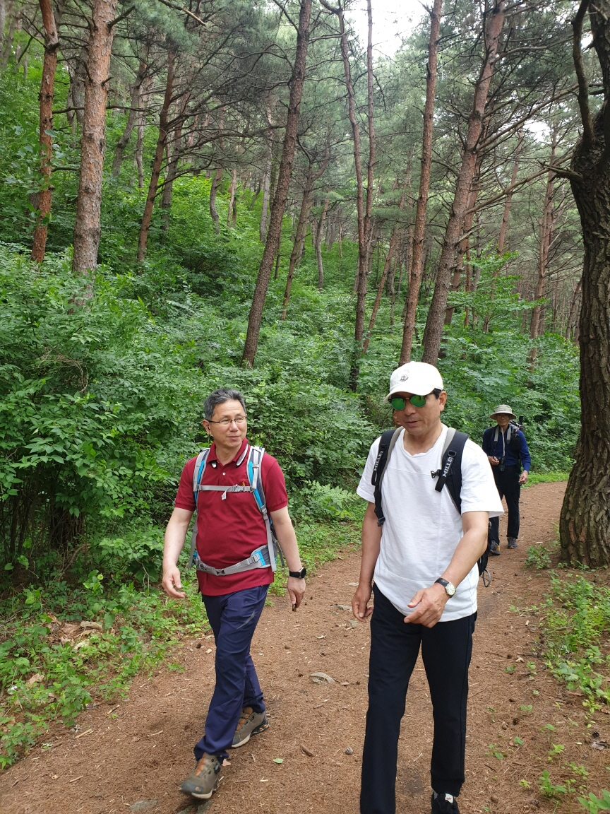 5bc5a9b1e2baafc8af5dkakaotalk_20190812_143716955_12.jpg