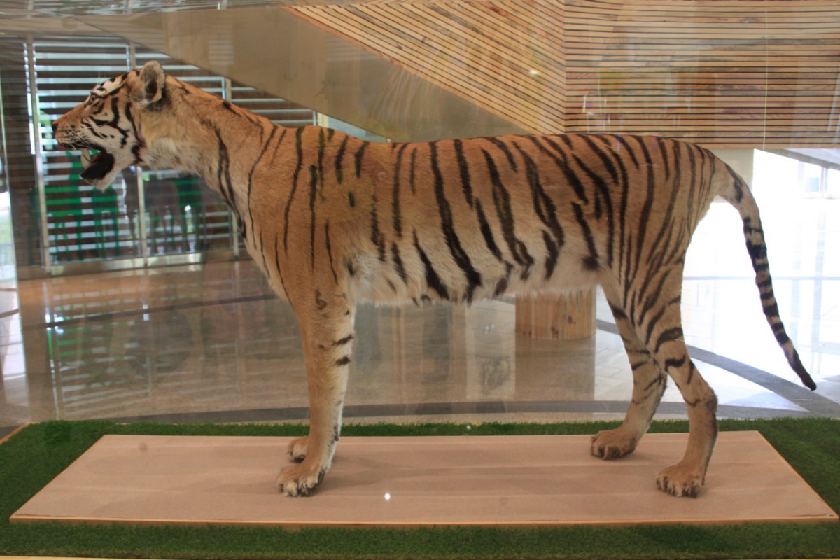sm_611f7779.JPG